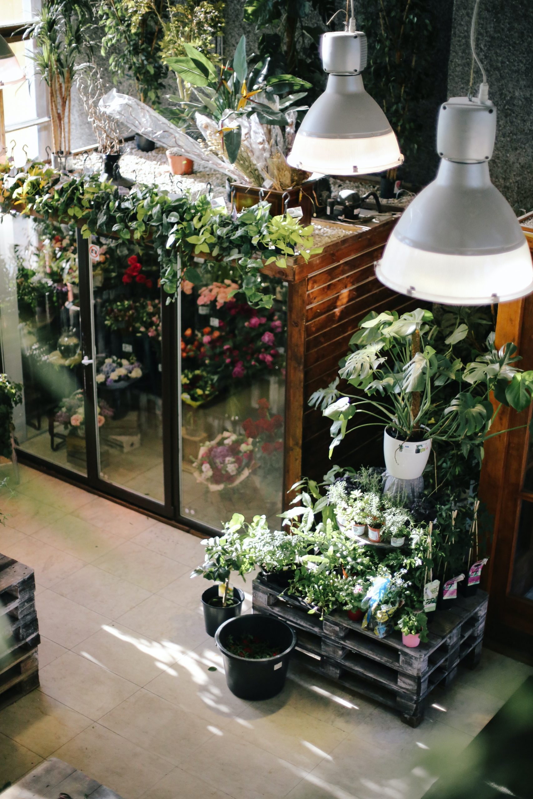 greenhouse lighting alabama